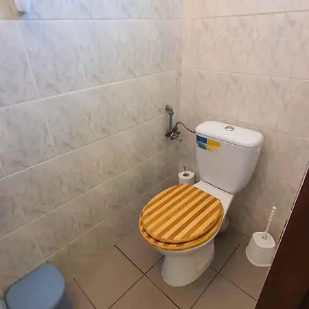 Appartement In Siofok/balaton 19943 *